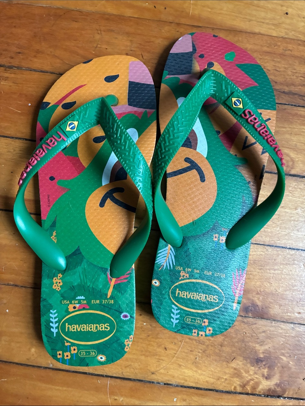 Havaianas Brazil Green Tropical Cartoon Flip Flops